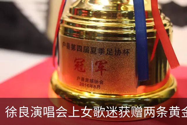 徐良演唱会上女歌迷获赠两条黄金小象项链，总重4.83克价值约6000元，当事人：第一次收到良哥的礼物，惊喜又幸运